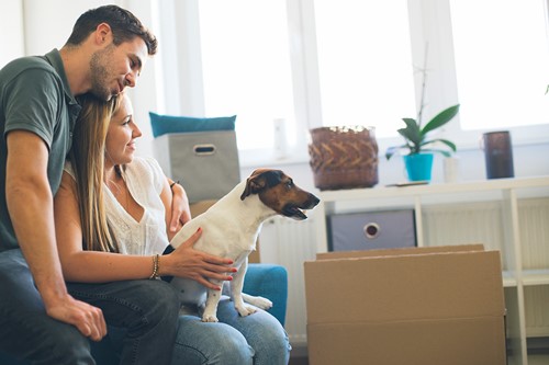 Et forsleket par som sidder med deres hund i deres lejlighed og forbereder deres flytning med deres bohave til udlandet.